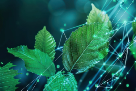 Servizi digitali sempre più green, Lepida adotta energia verde certificata - Immagine