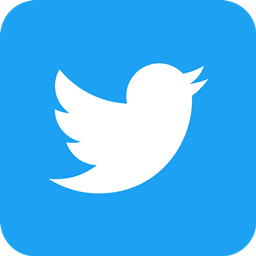 Il profilo Twitter @LepidaScpA